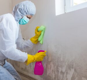 Removing molds from the wall with mold remediation chemicals